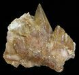 Dogtooth Calcite Crystal Cluster - Morocco #57388-1